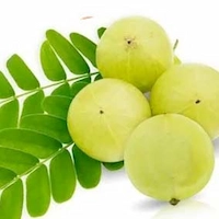 Amla Extract