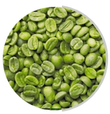 Bean Extract