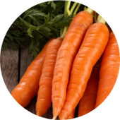 Beta Carotene, Huperzine A, Bacopa