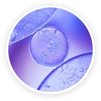 Deoxyribonuclease (DNase)