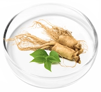 Ginseng Root Powder