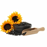 Gluco Armor - Biotin