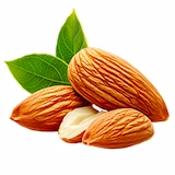 Gluco Armor - Vitamin E