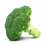 Gluco Armor - chromium