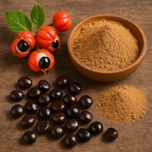Guarana Seed Extract