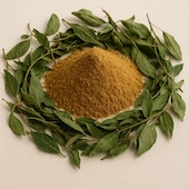 Gymnema Leaf Extract