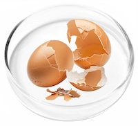 Pure Eggshell Collagen