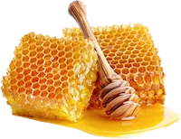 Raw Wildflower Honey