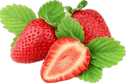 Strawberry Extract