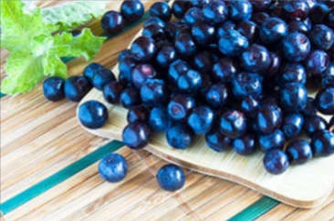Bilberry Extract