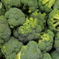 XenBurn-Calcium-Carbonate