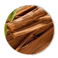 prosta peak - Cats Claw