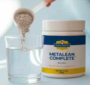 MetaLean-Complete-Uses